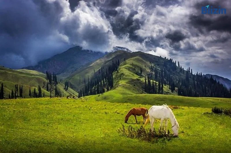 Nagar