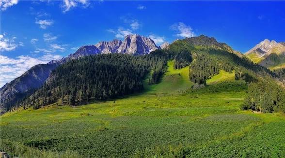 Naltar Valley